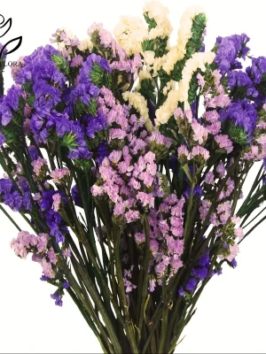 Naturlige Tørkede Blomster Dekor