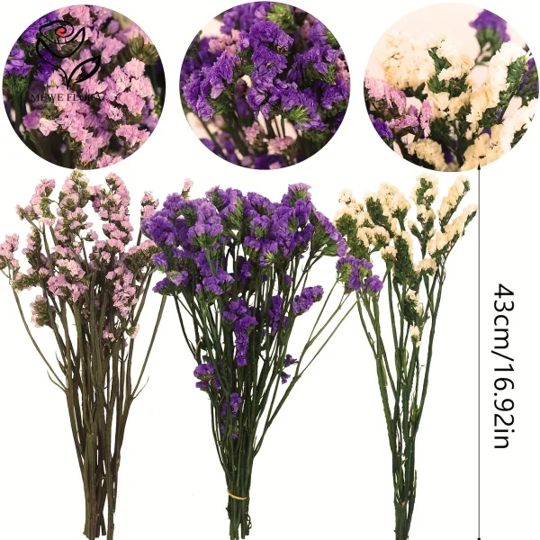 Naturlige Tørkede Blomster Dekor