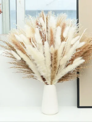 75 stk Tørkede Pampas og Bunny Tails –  Nordisk Stil