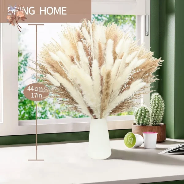 75 stk Tørkede Pampas og Bunny Tails – Nordisk Stil