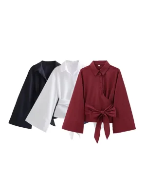 Lantern Sleeve Stand Collar Blouse