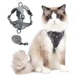 Cat Harness and Leash Set