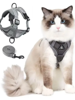 Cat Harness and Leash Set
