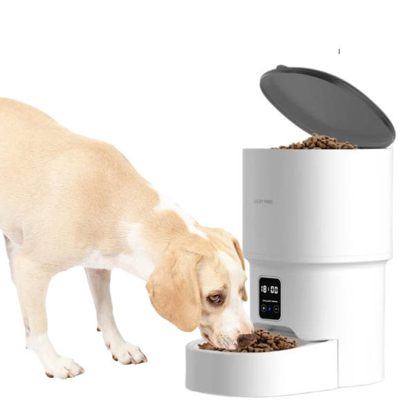 Automatic food dispenser Push button for cat and dog